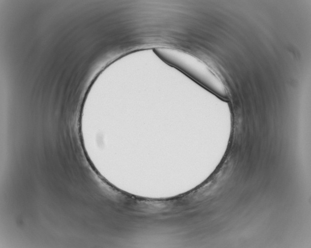 X0000110671197200907241016