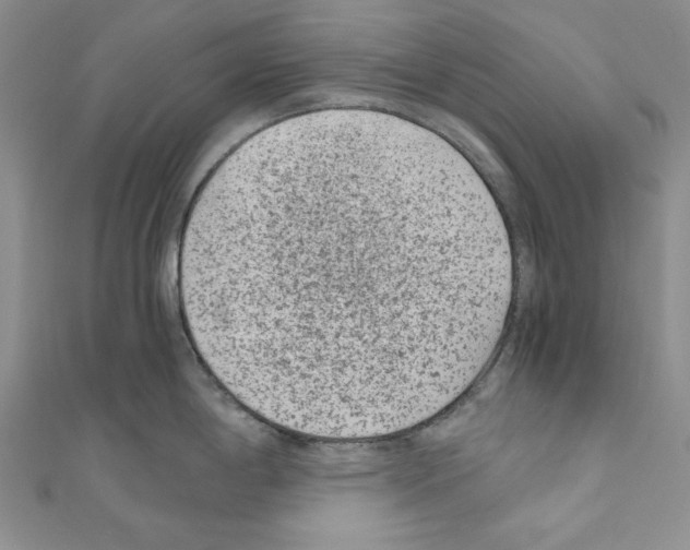 X0000110671198200907241016