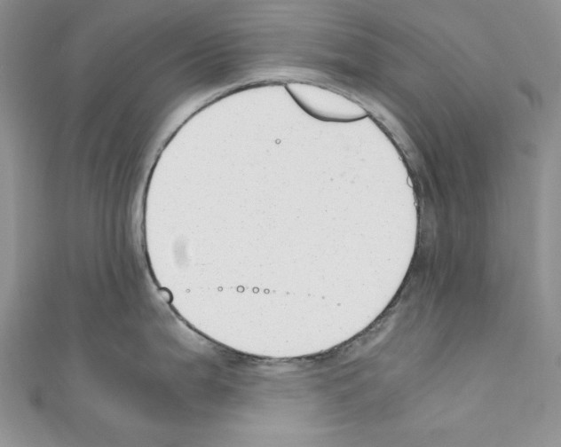 X0000110671199200907241016