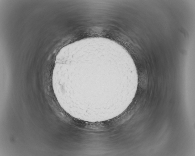 X0000110671201200907241015