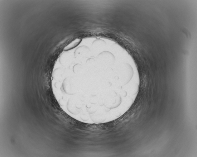 X0000110671205200907241015