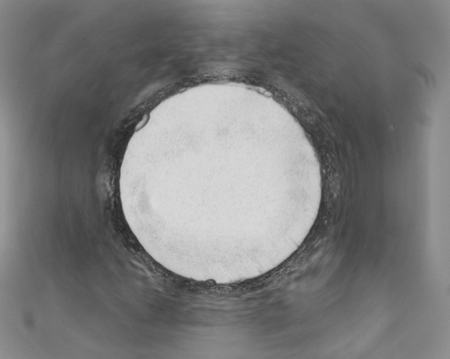 X0000110671206200907241015