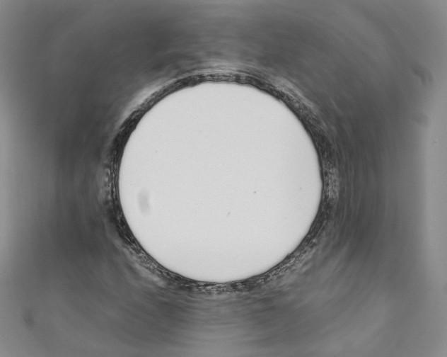 X0000110671208200907241015