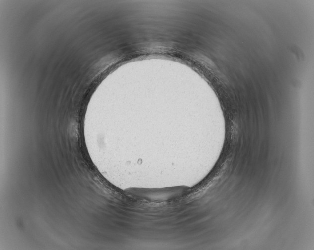 X0000110671209200907241015
