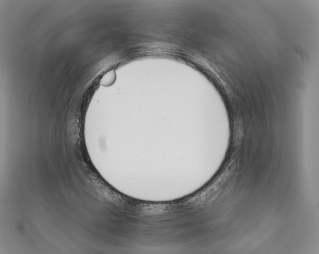 X0000110671211200907241015