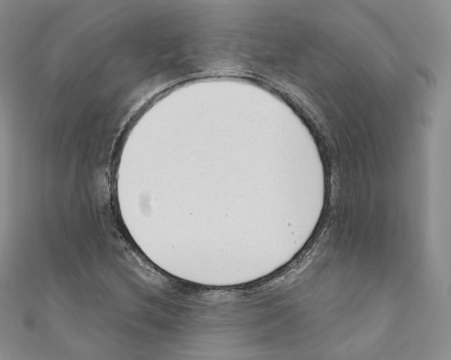 X0000110671212200907241015
