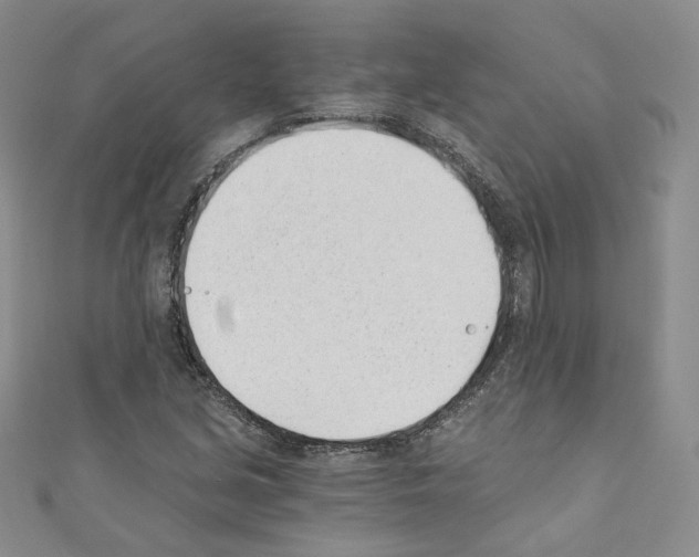 X0000110671213200907241015