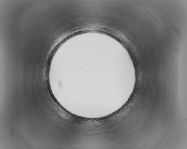 X0000110671216200907241015
