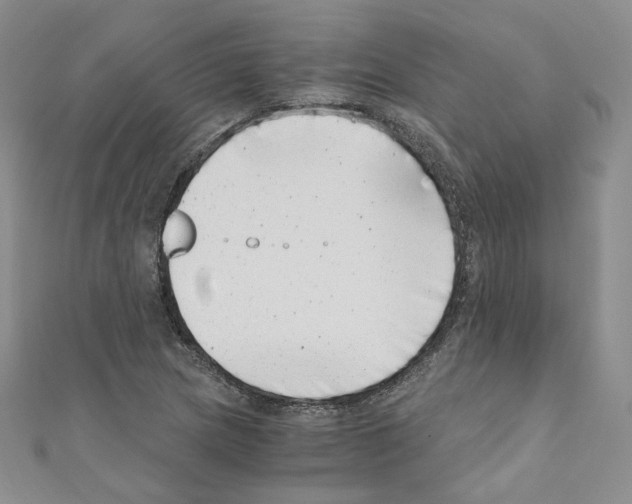 X0000110671217200907241015