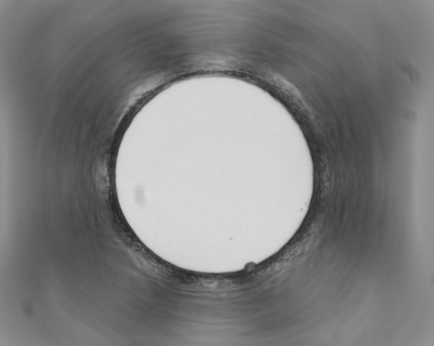 X0000110671218200907241015