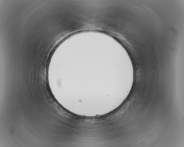 X0000110671220200907241015