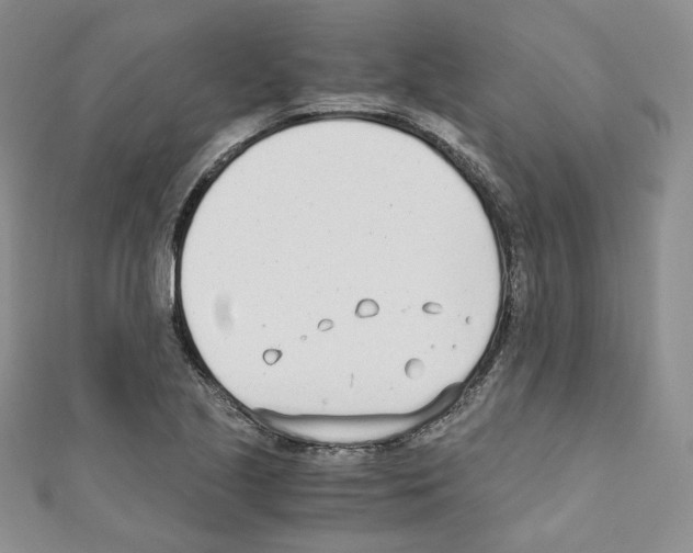 X0000110671221200907241015