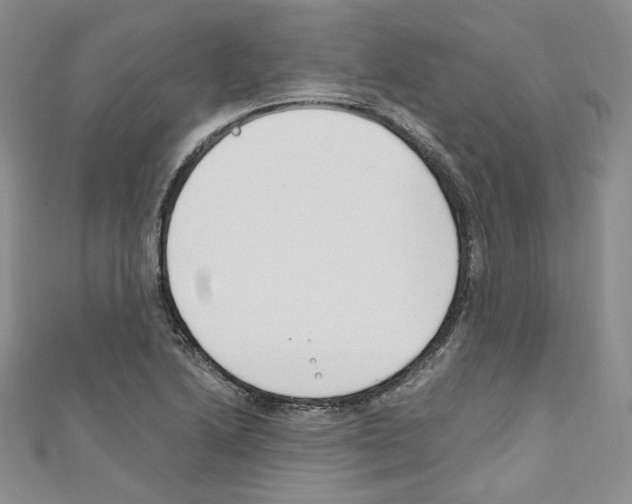 X0000110671222200907241015
