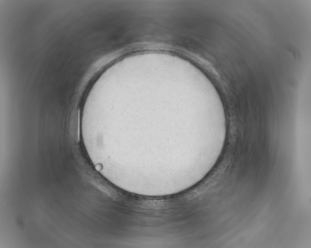 X0000110671223200907241015