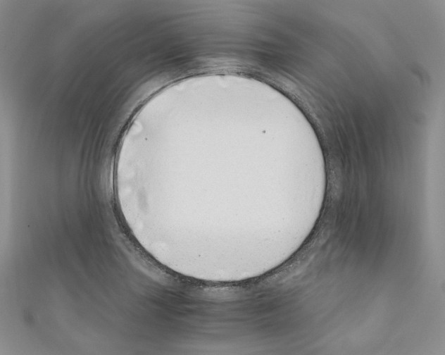 X0000110671227200907241015
