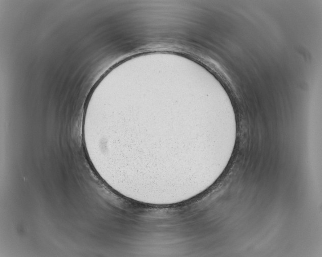 X0000110671228200907241016