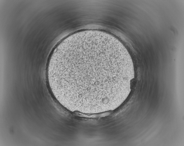 X0000110671229200907241016