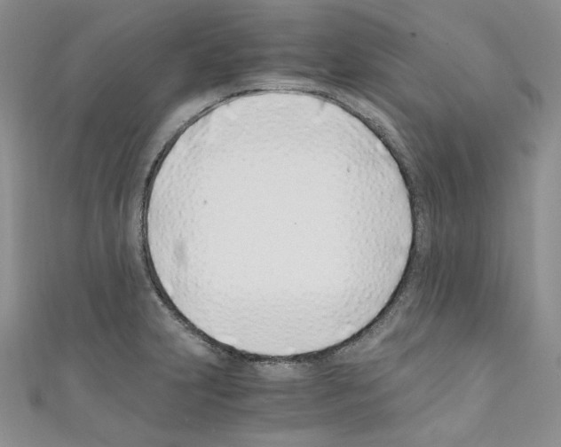 X0000110671231200907241016