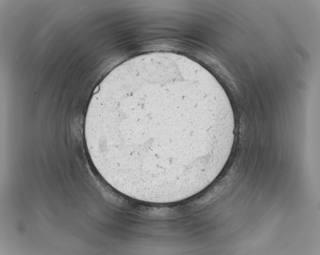 X0000110671233200907241016