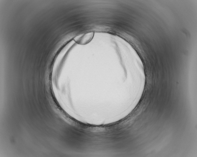 X0000110671235200907241016