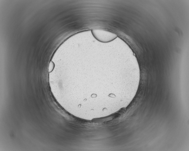 X0000110671236200907241016