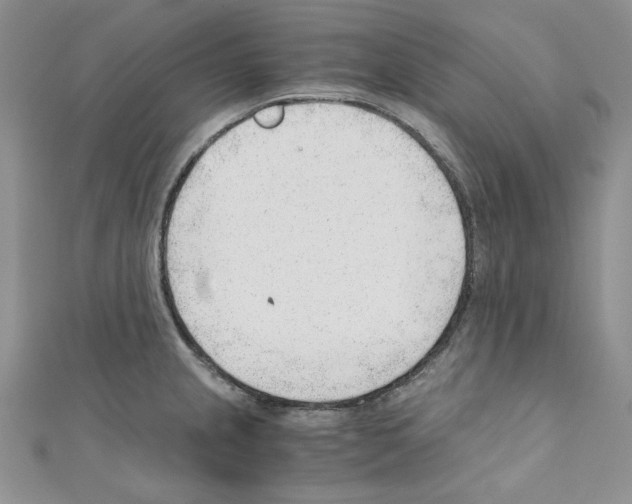 X0000110671237200907241016