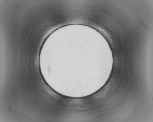 X0000110671238200907241016