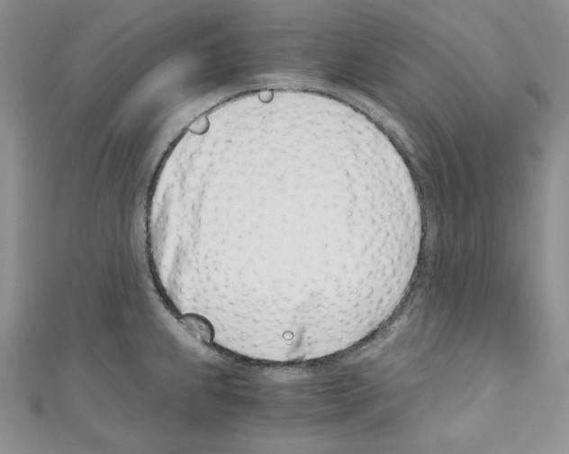 X0000110671239200907241016