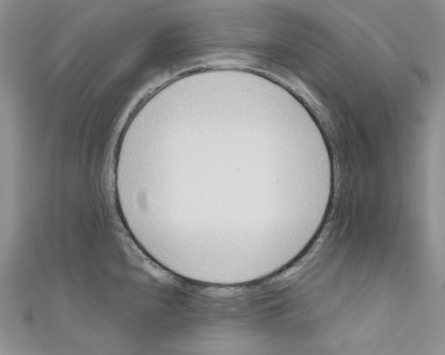 X0000110671240200907241016
