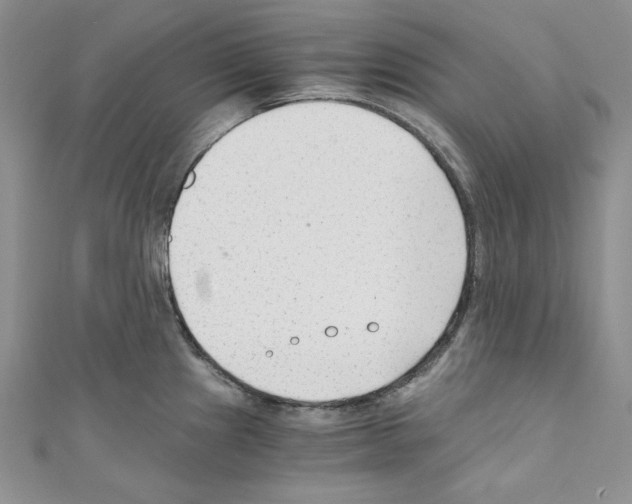 X0000110671241200907241016