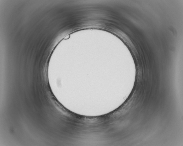 X0000110671242200907241016