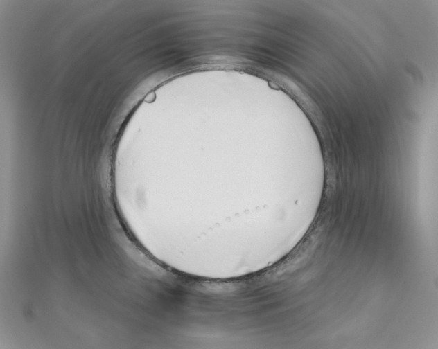 X0000110671243200907241016