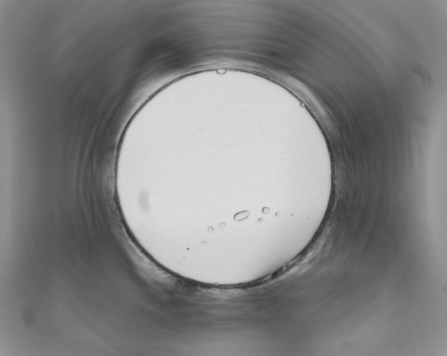 X0000110671244200907241016