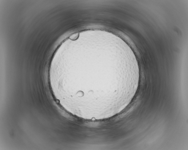 X0000110671245200907241016
