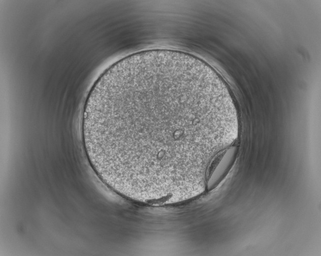 X0000110671246200907241016