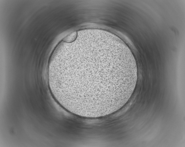 X0000110671247200907241016