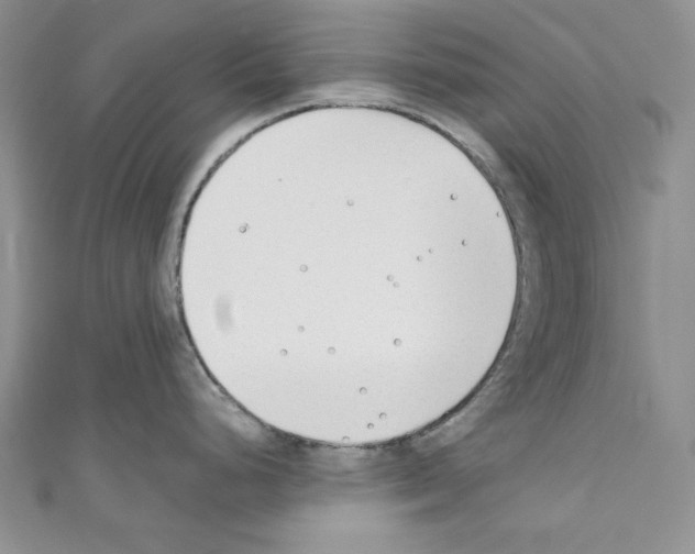 X0000110671248200907241016