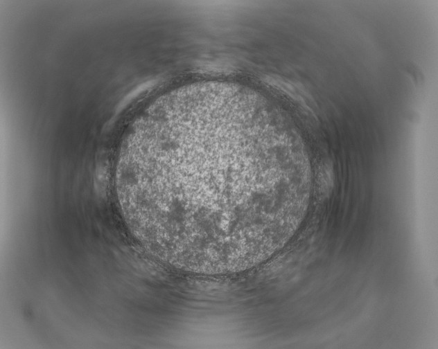 X0000110671254200907241015