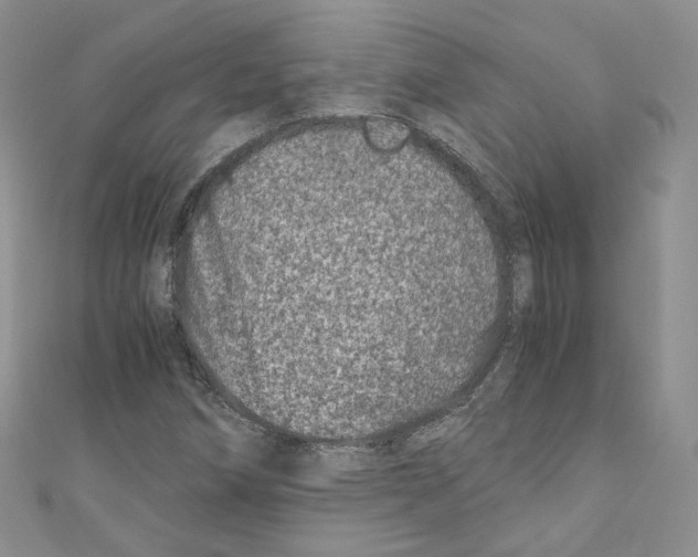 X0000110671258200907241015