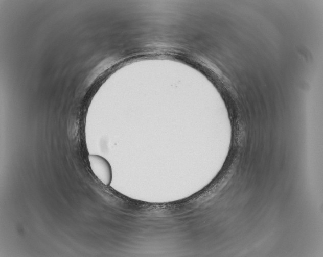 X0000110671259200907241015
