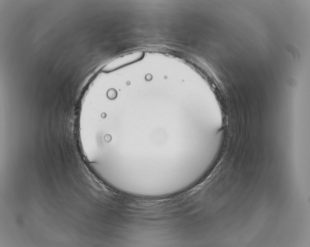 X0000110671260200907241015