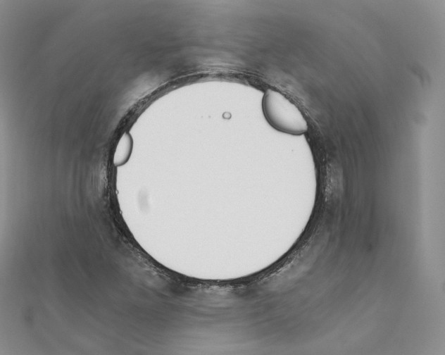 X0000110671261200907241015