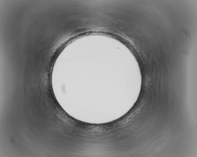 X0000110671263200907241015
