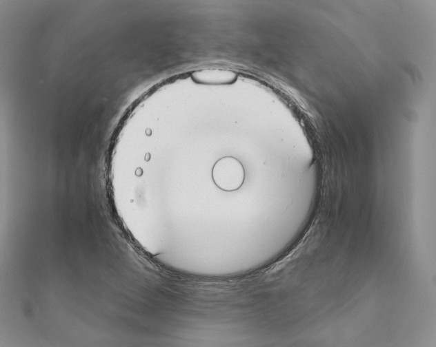 X0000110671264200907241015