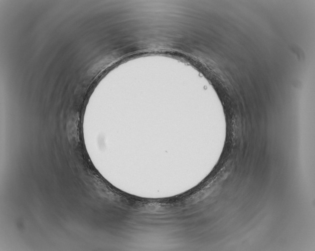 X0000110671265200907241015