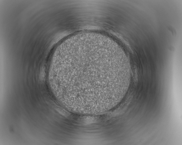 X0000110671266200907241015