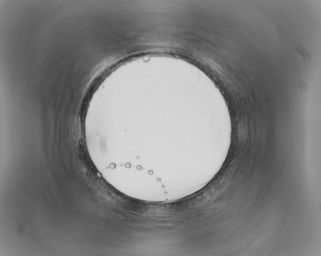 X0000110671267200907241015
