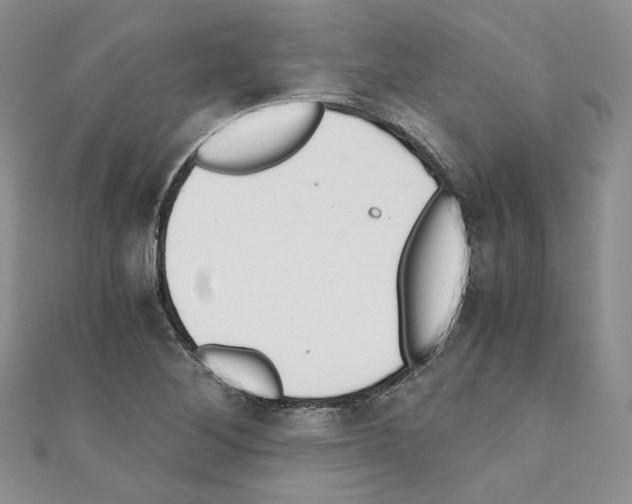 X0000110671268200907241015
