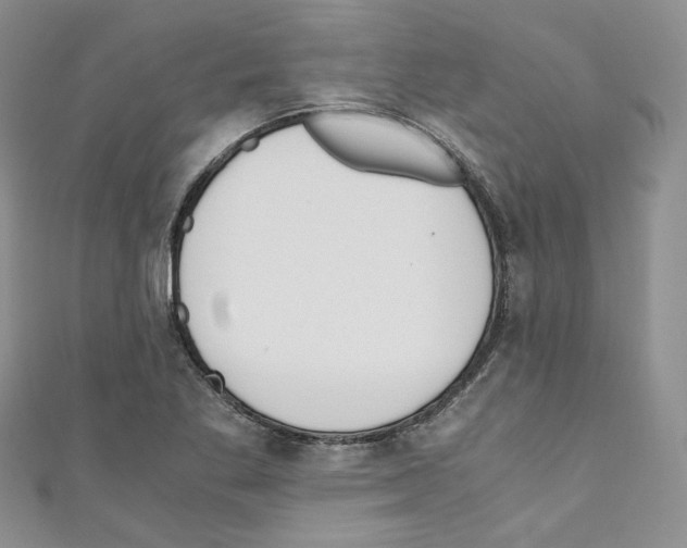 X0000110671269200907241015