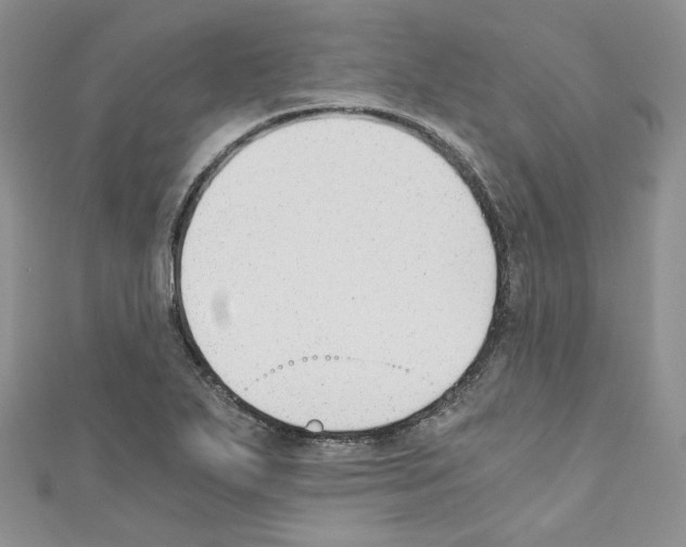 X0000110671271200907241014